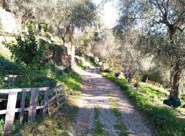 immagine annuncio 5 di 8