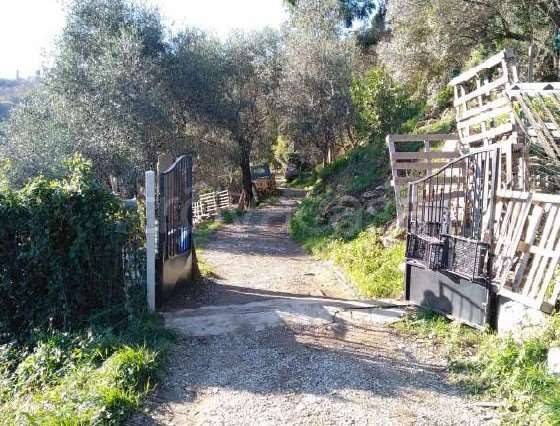 immagine annuncio 6 di 8
