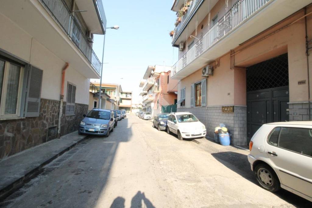 immagine annuncio 7 di 14
