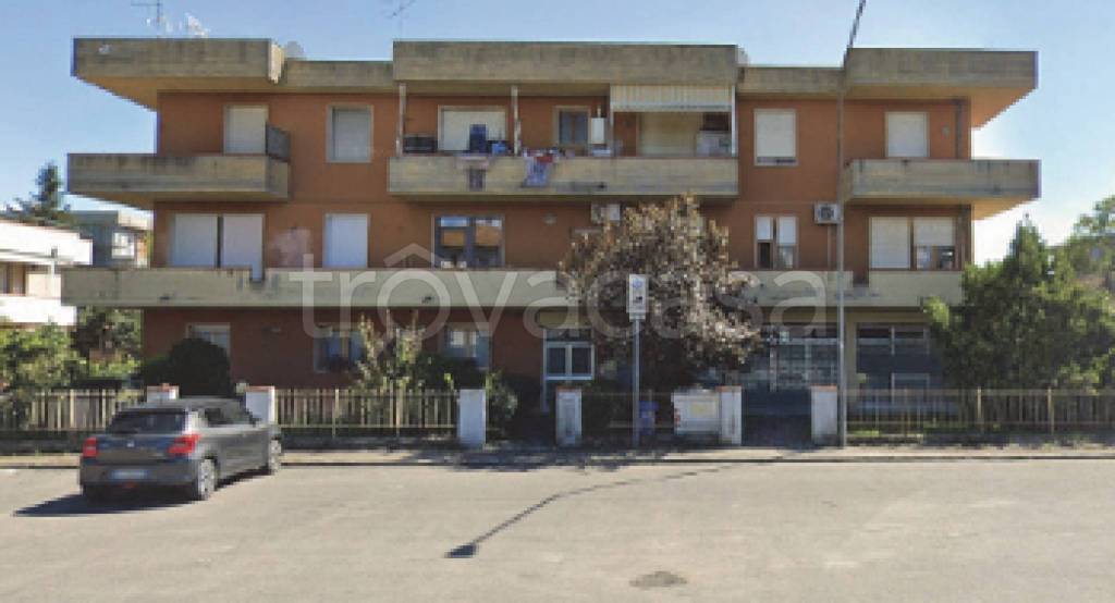 immagine annuncio 10 di 11
