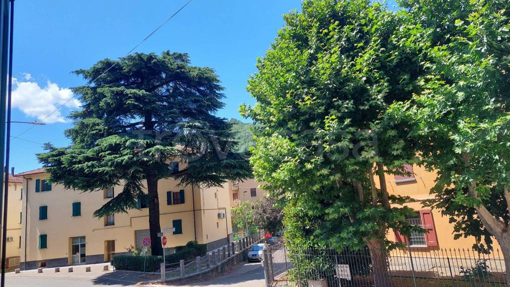 immagine annuncio 12 di 14