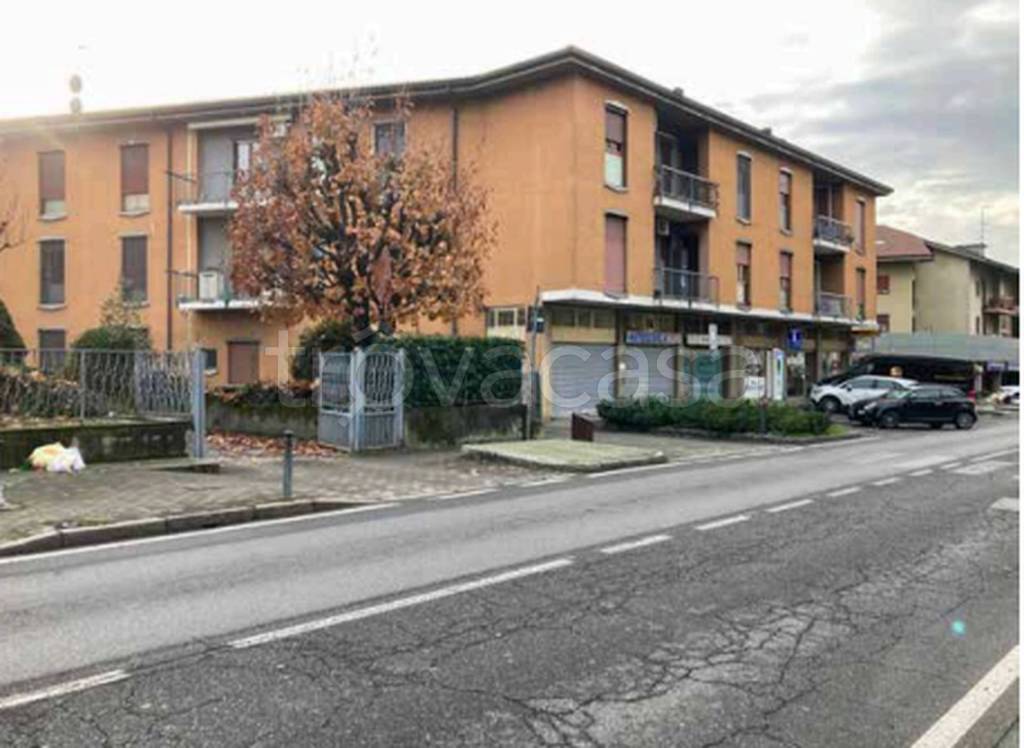 immagine annuncio 11 di 13