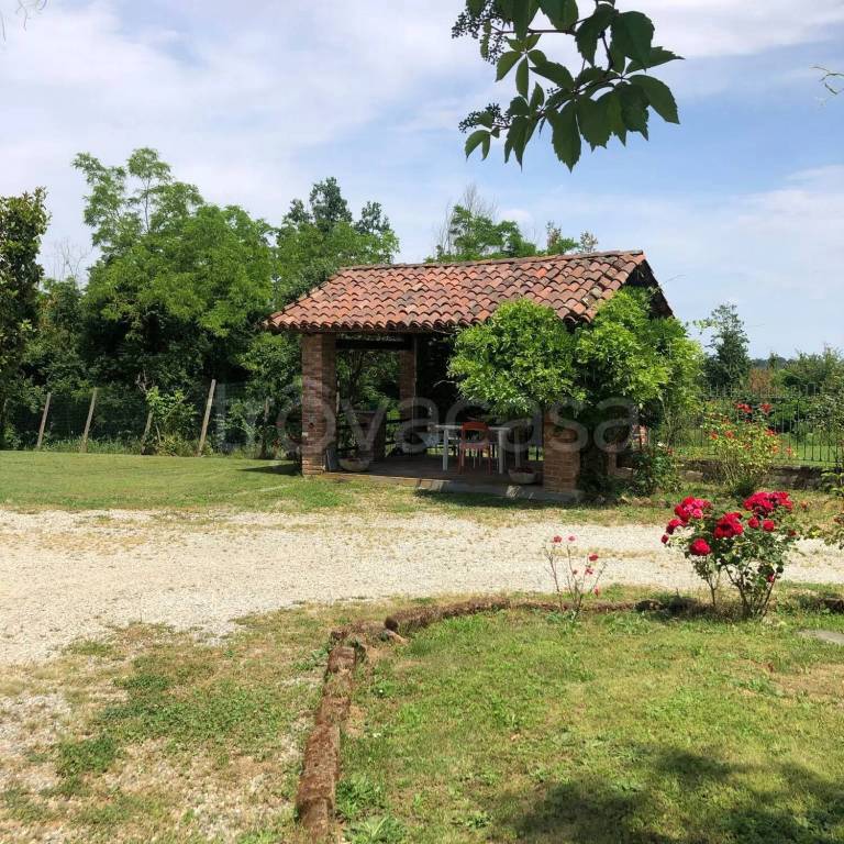 immagine annuncio 7 di 15