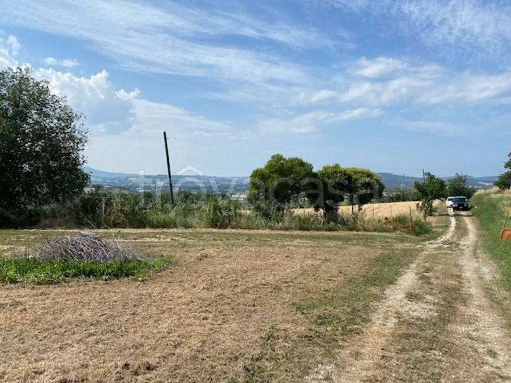 immagine annuncio 5 di 7
