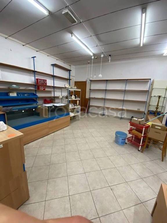 immagine annuncio 3 di 8