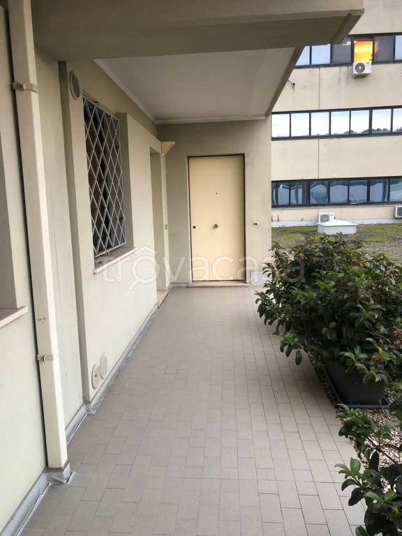 immagine annuncio 6 di 7