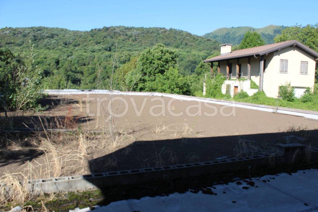 immagine annuncio 9 di 12