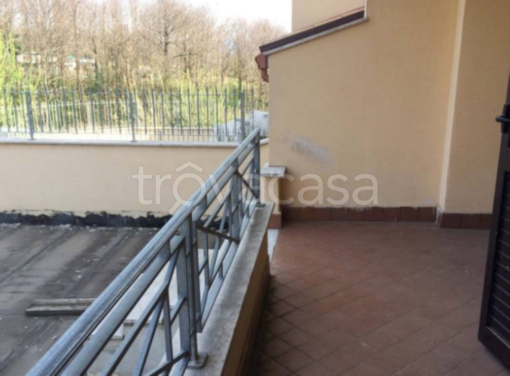 immagine annuncio 12 di 14