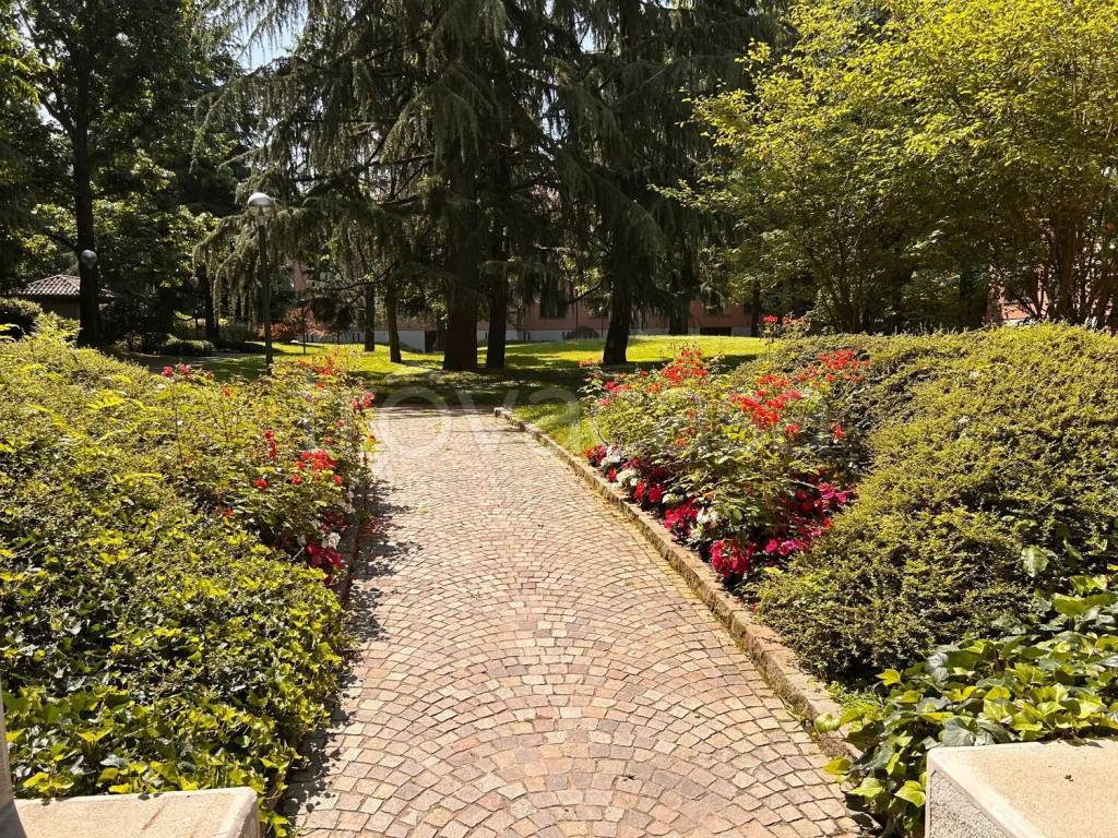 immagine annuncio 1 di 12