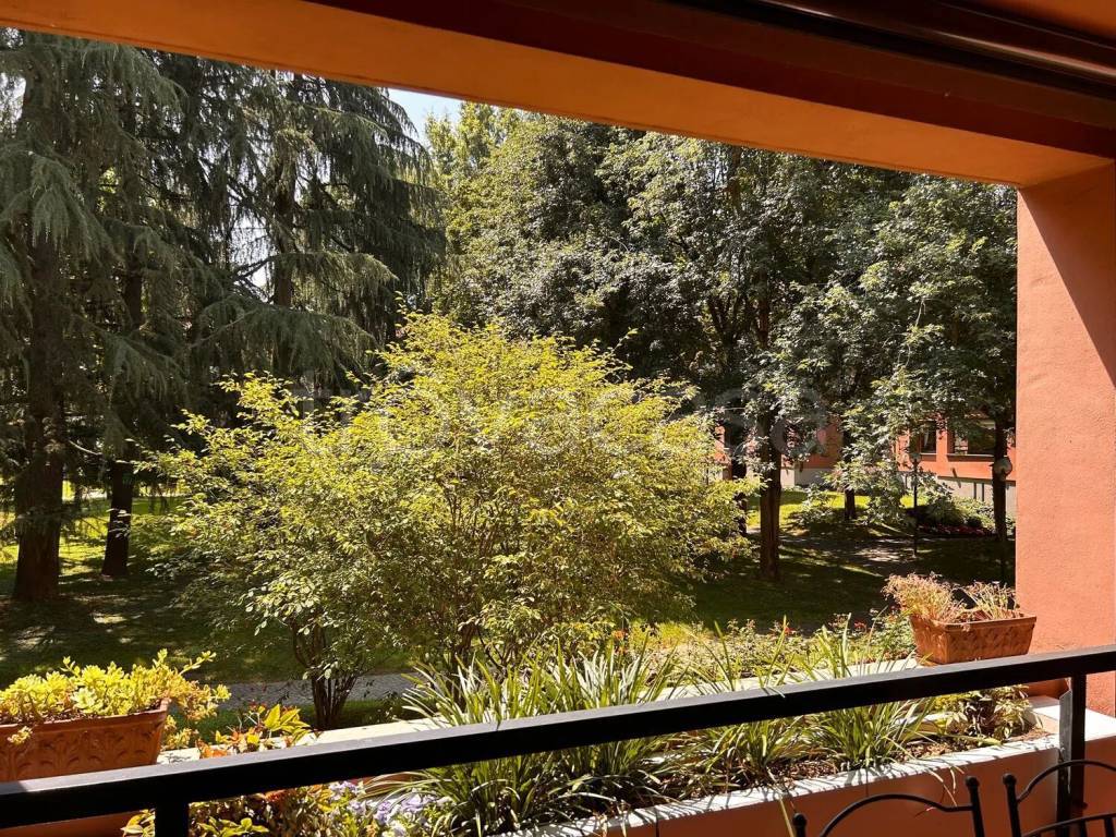 immagine annuncio 4 di 12