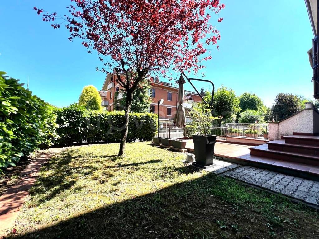 immagine annuncio 5 di 15