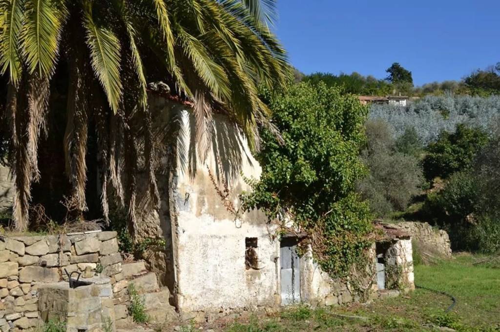 immagine annuncio 6 di 7