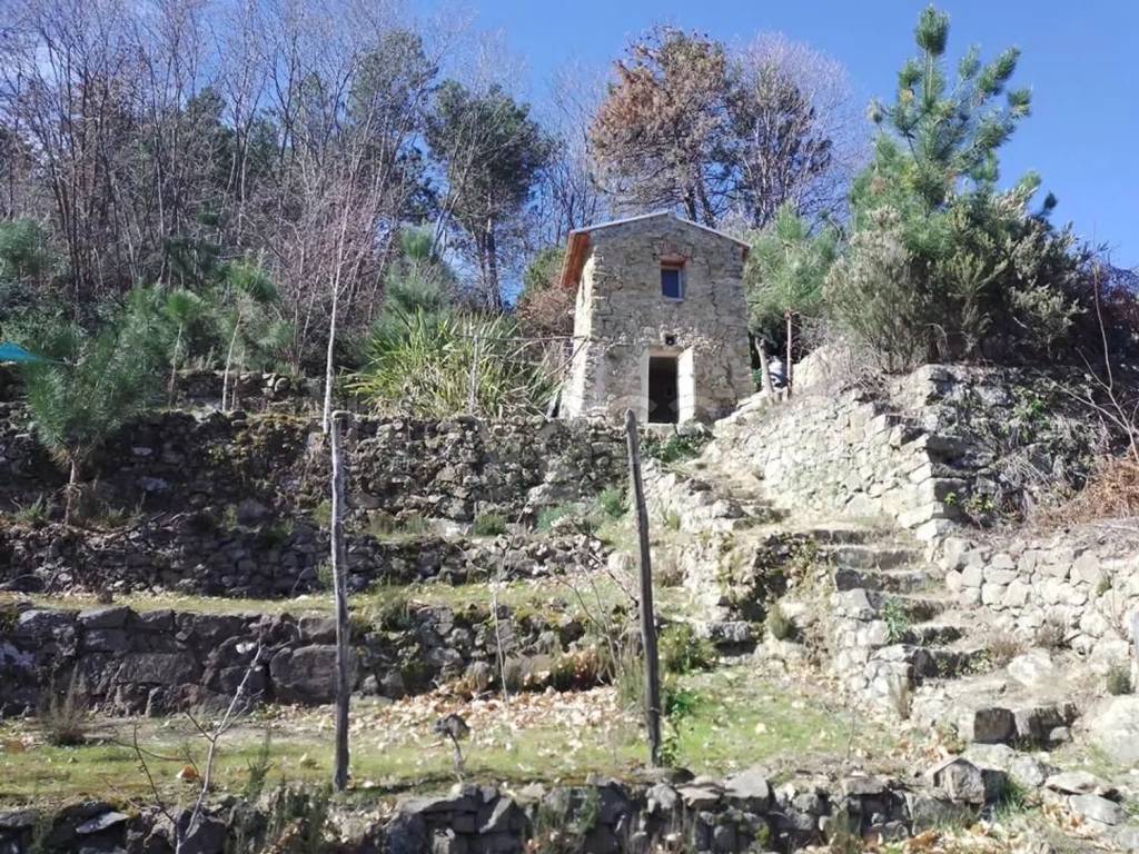 immagine annuncio 8 di 14