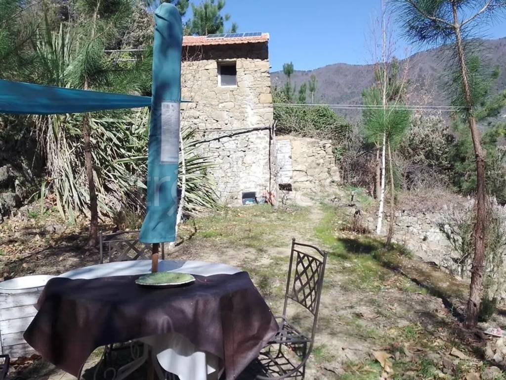 immagine annuncio 9 di 14