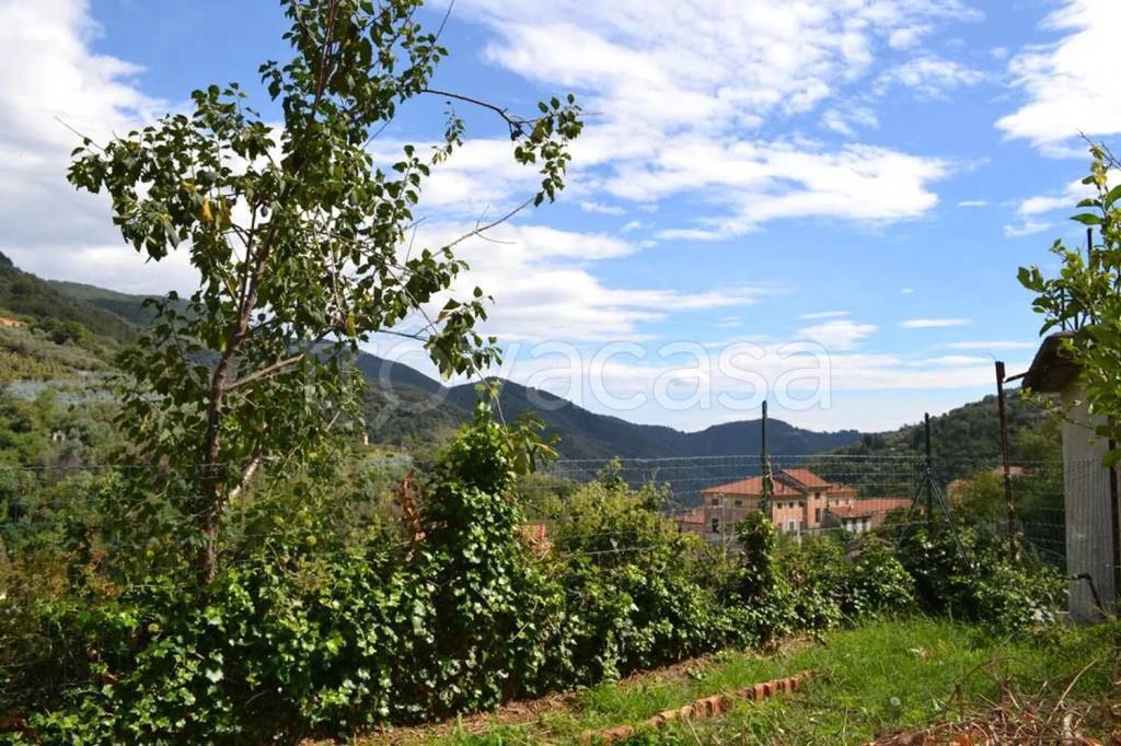 immagine annuncio 9 di 12