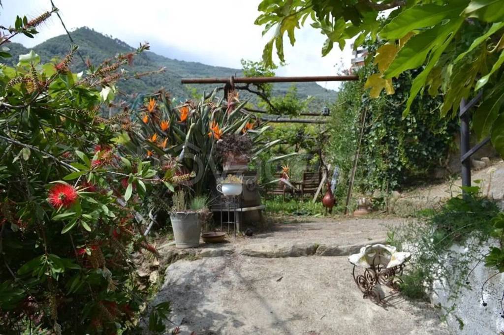 immagine annuncio 10 di 13