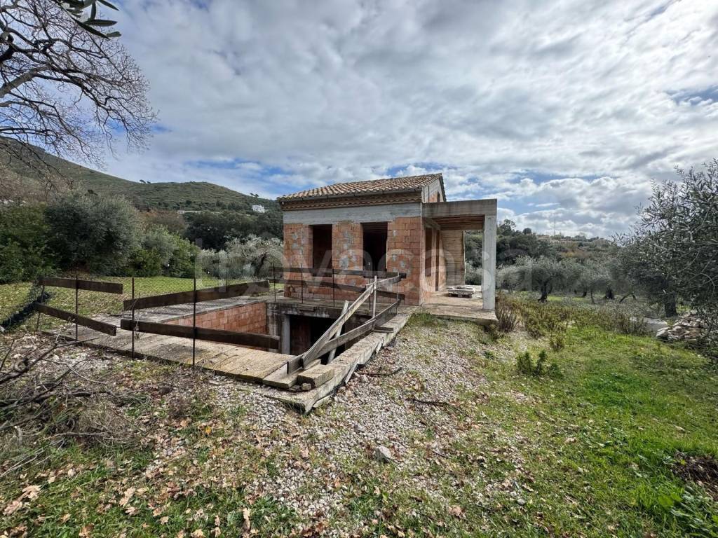 immagine annuncio 3 di 11