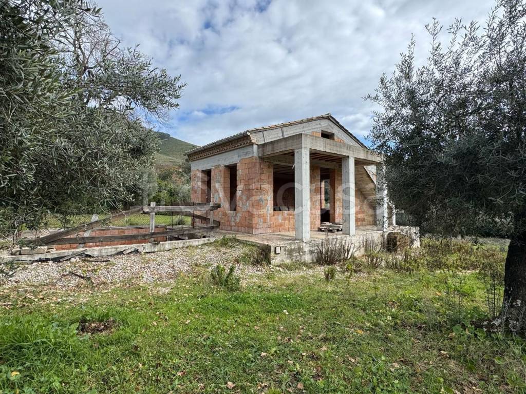 immagine annuncio 4 di 11