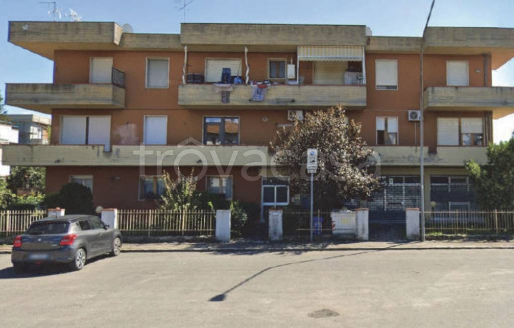 immagine annuncio 1 di 13
