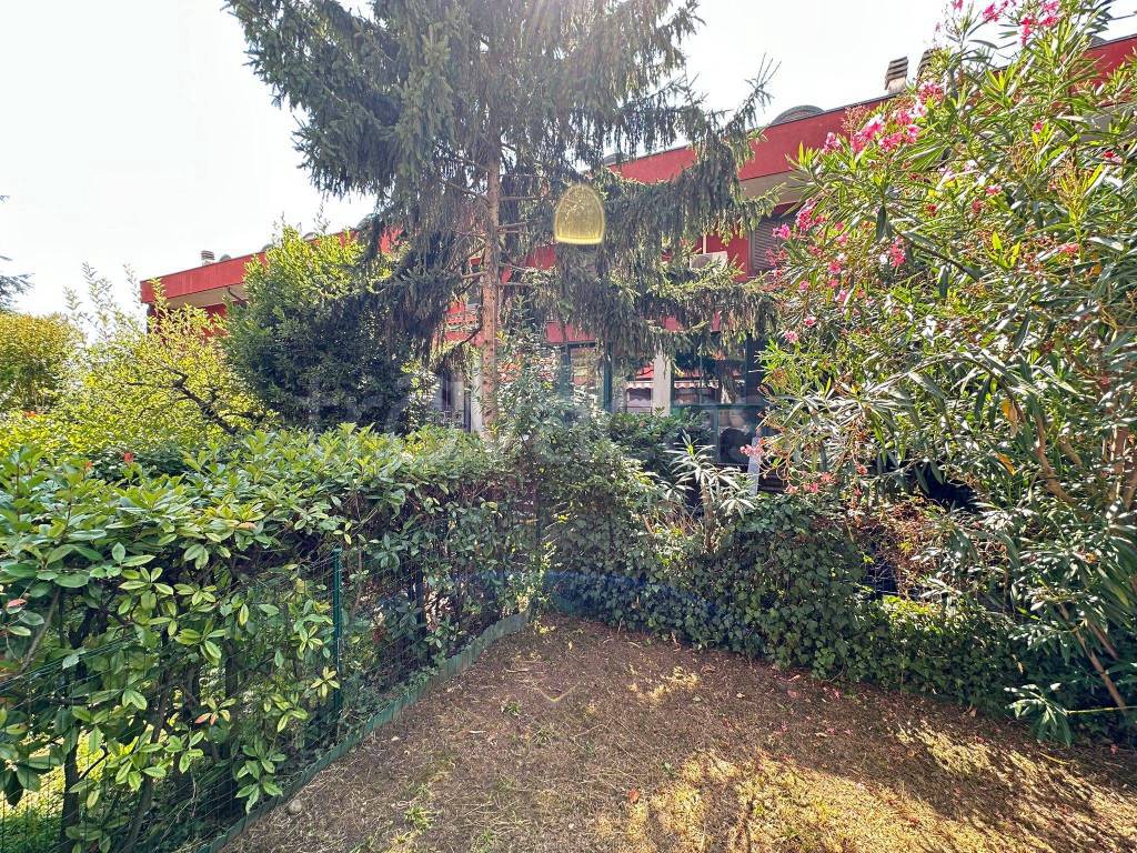 immagine annuncio 10 di 15