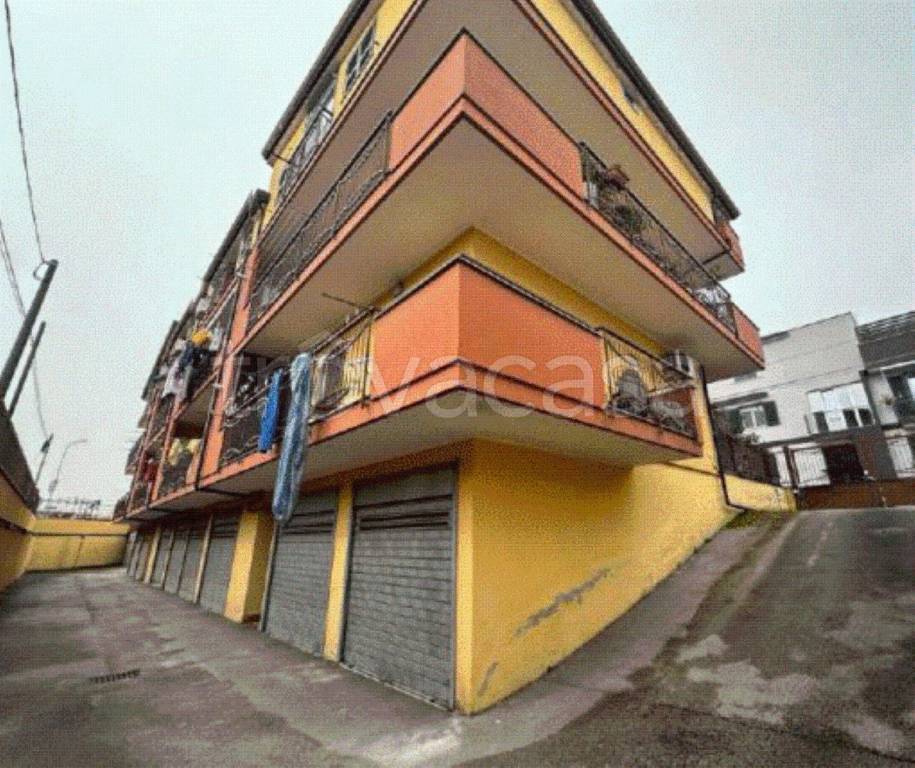 immagine annuncio 3 di 8