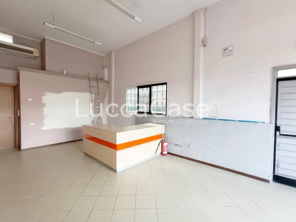 immagine annuncio 1 di 13