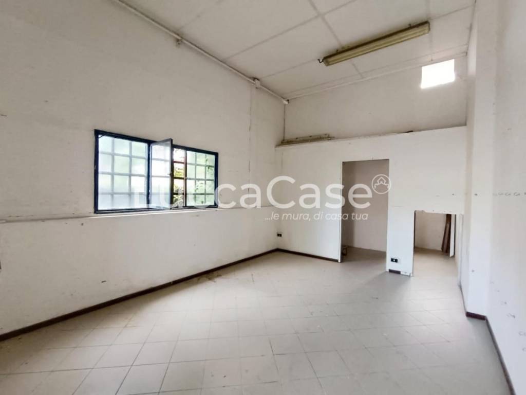 immagine annuncio 4 di 13