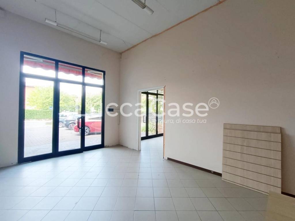 immagine annuncio 5 di 13