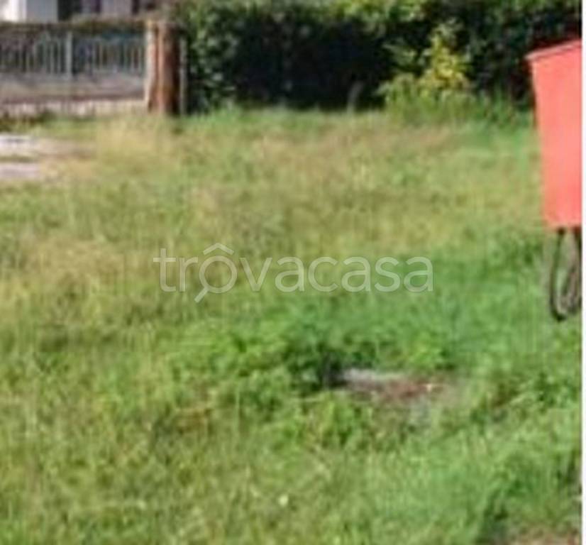 immagine annuncio 11 di 13