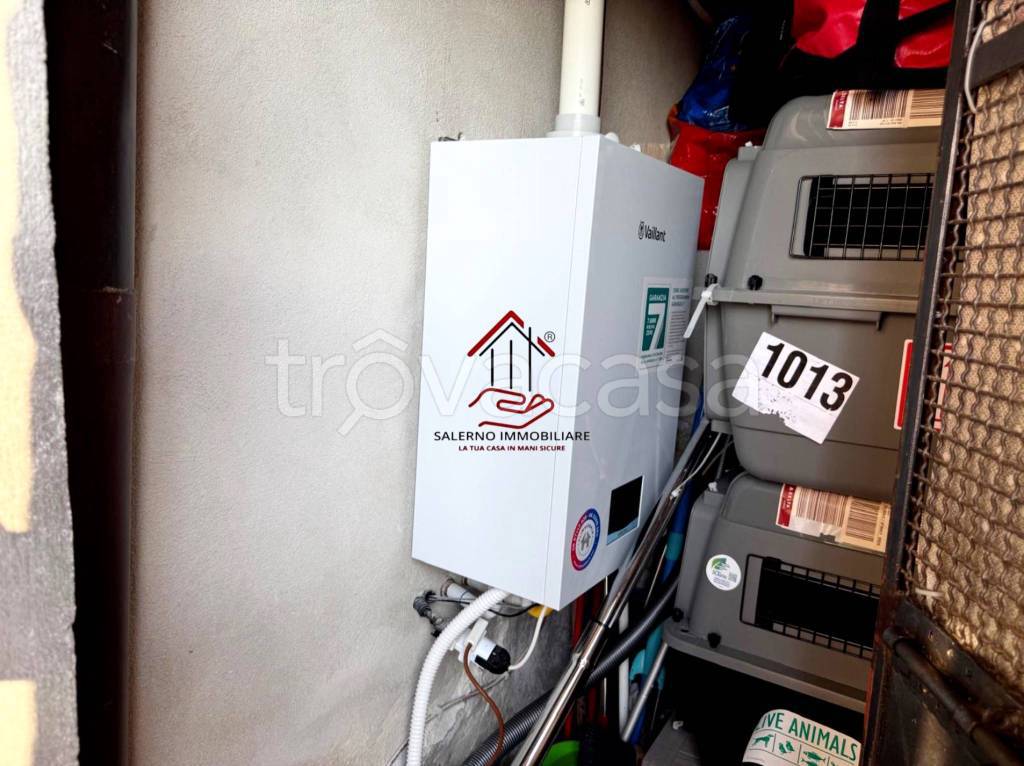 immagine annuncio 2 di 15