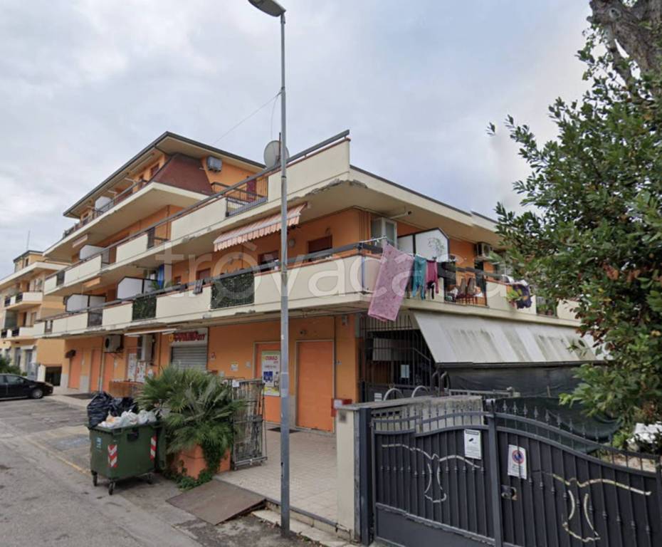 immagine annuncio 1 di 11