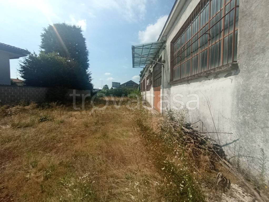 immagine annuncio 6 di 15