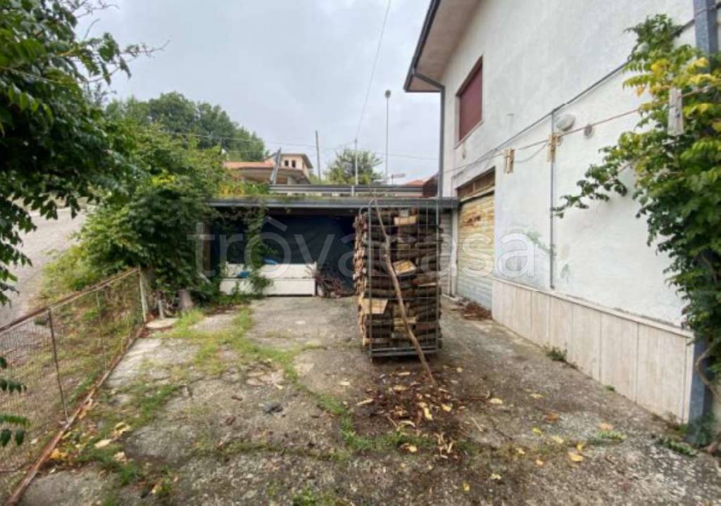 immagine annuncio 2 di 12