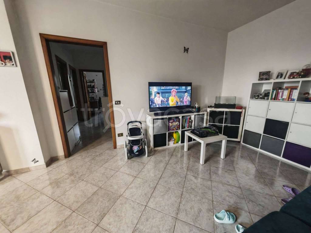 immagine annuncio 1 di 14