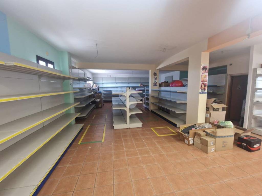 immagine annuncio 2 di 13