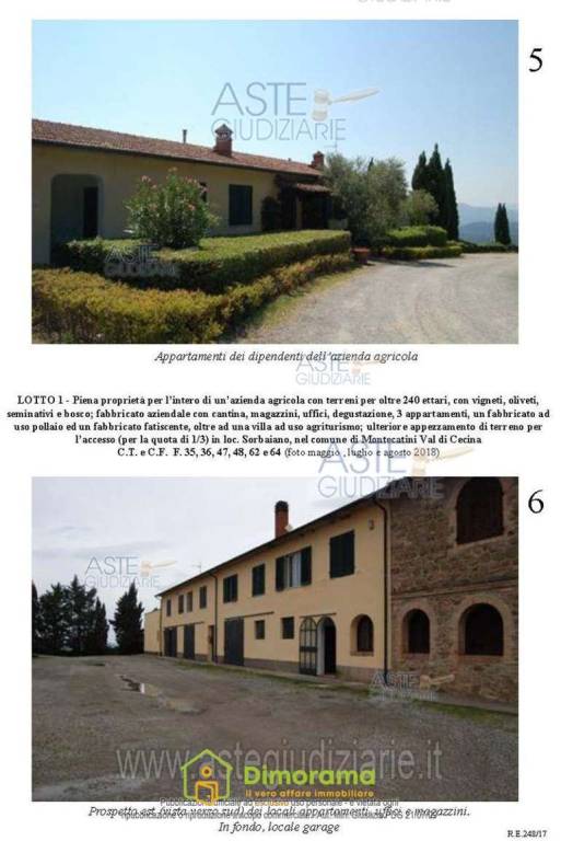 immagine annuncio 14 di 15
