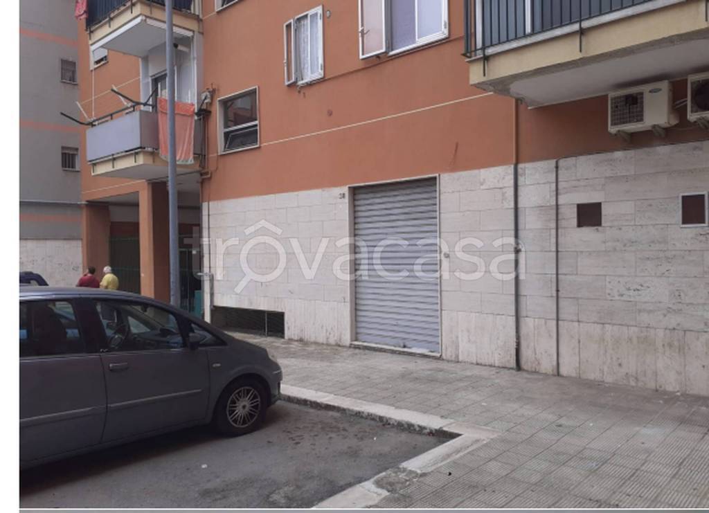 immagine annuncio 7 di 14