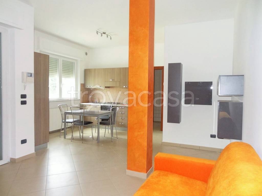 immagine annuncio 1 di 12