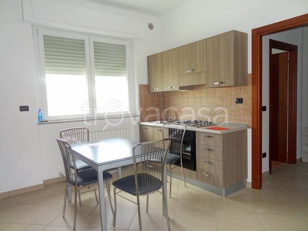 immagine annuncio 2 di 12