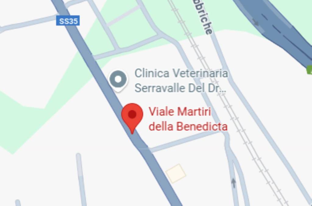 immagine annuncio 5 di 12