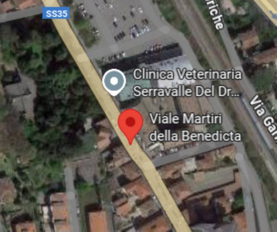 immagine annuncio 7 di 12