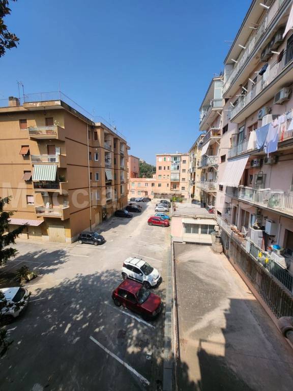 immagine annuncio 12 di 14