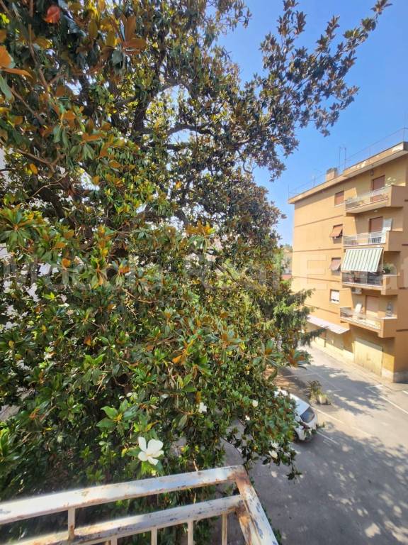 immagine annuncio 13 di 14