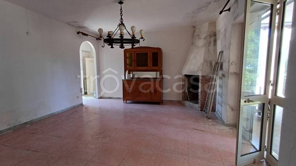immagine annuncio 4 di 14