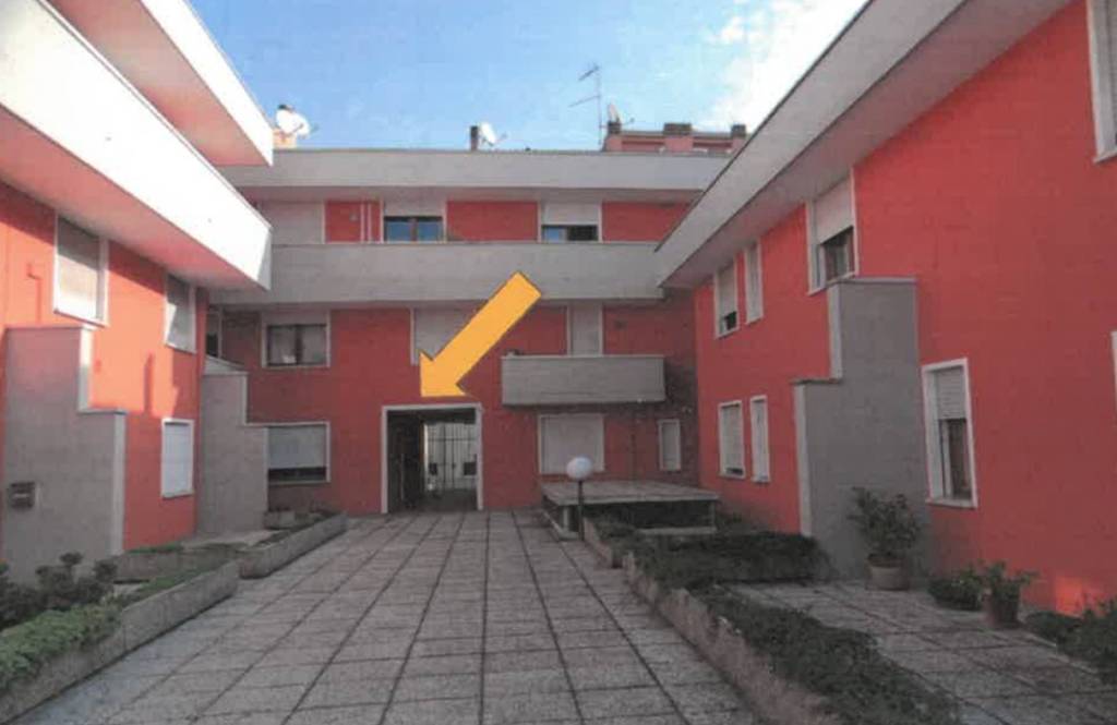 immagine annuncio 3 di 11
