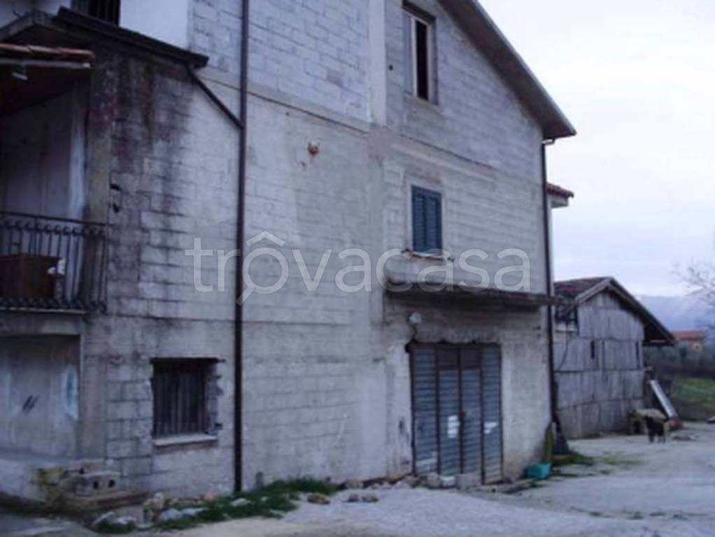 immagine annuncio 7 di 12
