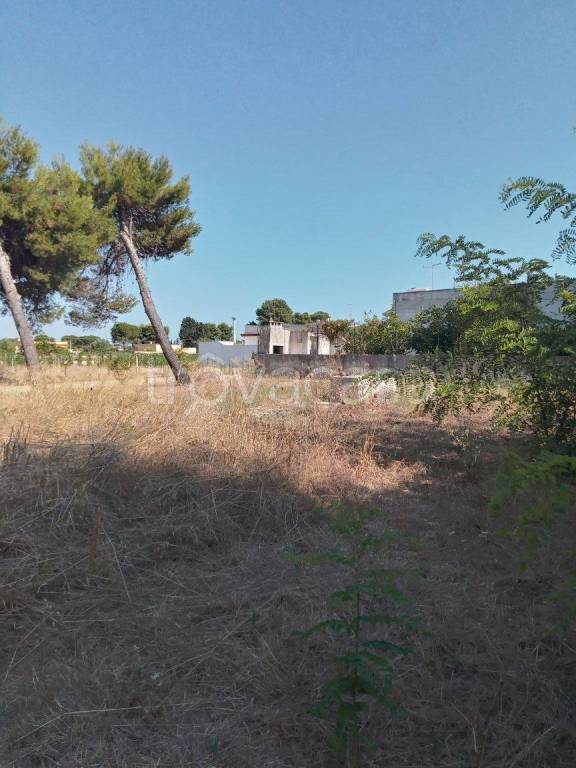 immagine annuncio 5 di 7