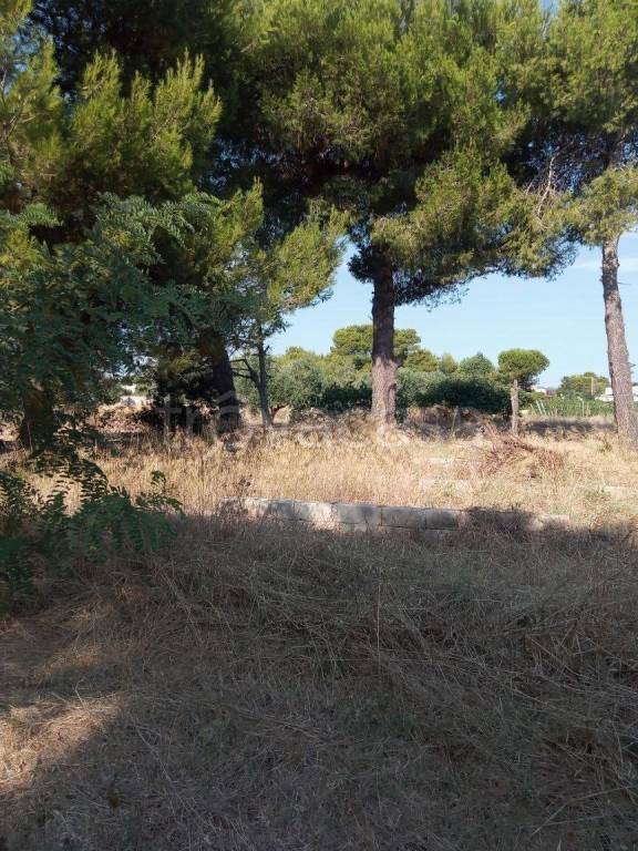 immagine annuncio 6 di 7