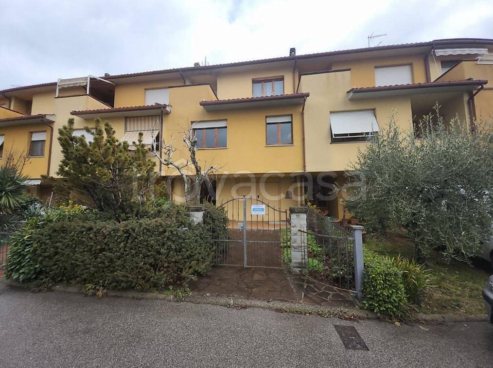 immagine annuncio 12 di 15