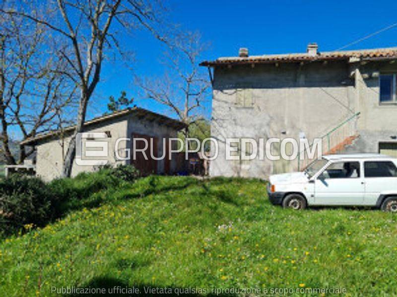 immagine annuncio 1 di 12